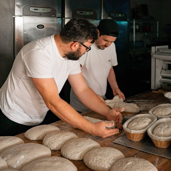Intro to Sourdough Workshop